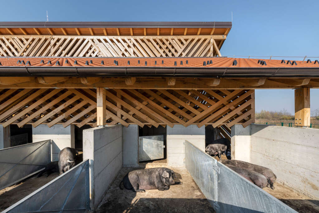 SKROZ architecture designs organic pig farm in Croatia