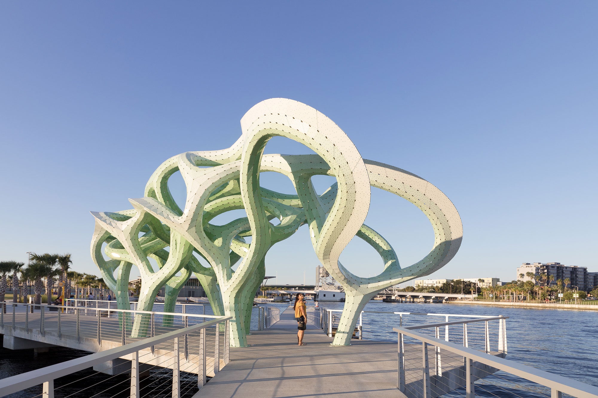 Form of Wander Plants a Tangled Structural Network on a Pier