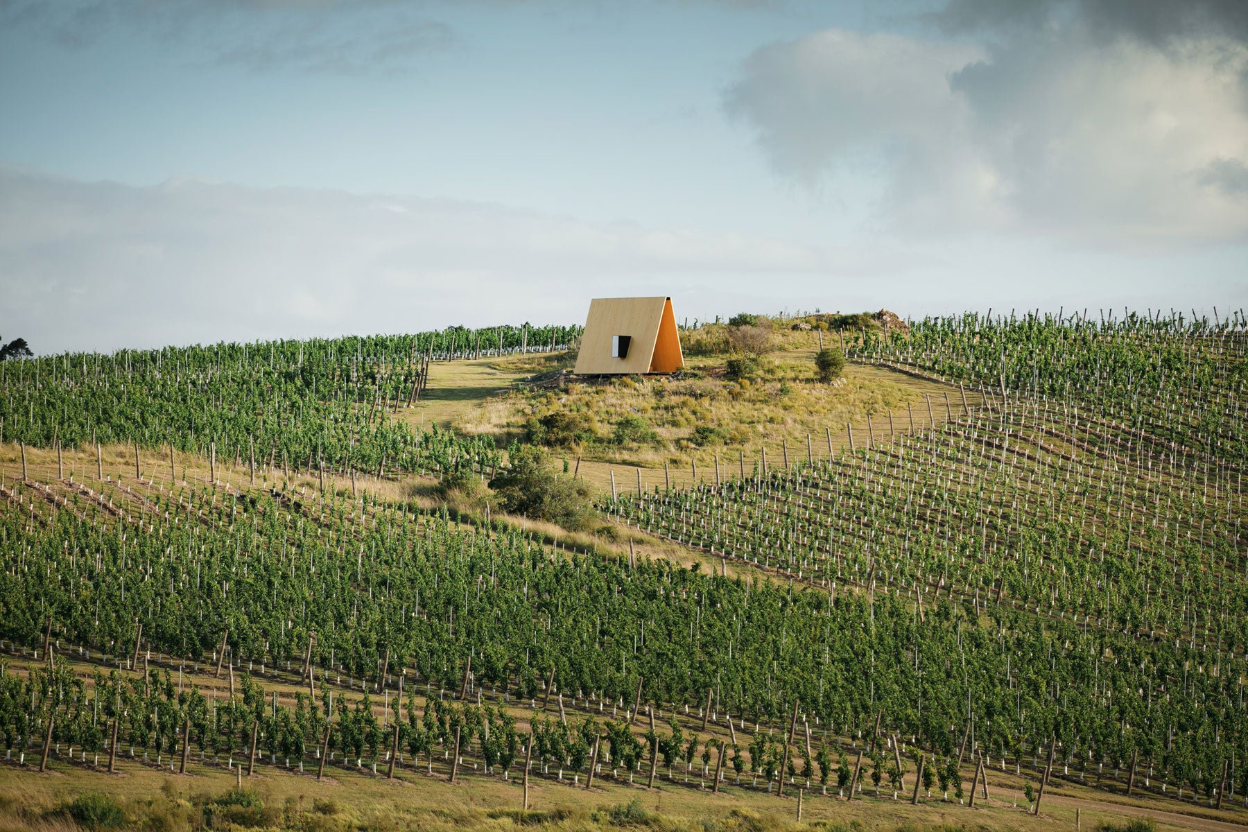The Sacromonte Chapel Finds its Place Among the Vineyards, Lagoons