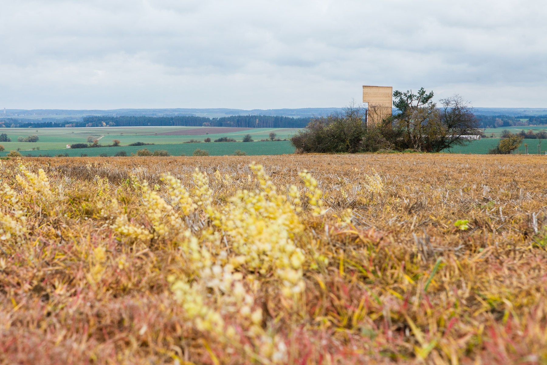 This Cabin In the Czech Republic is Built On Top of a WWII Bunker