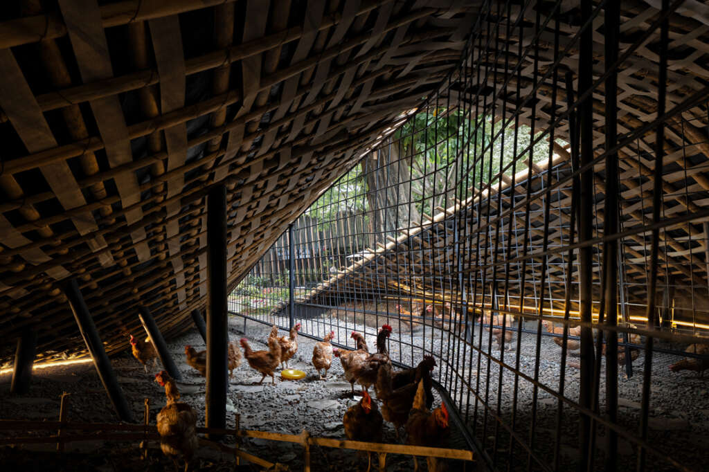 The Chicken Hero pavilion by RAD+ar  is designed to inspire independent backyard poultry farming