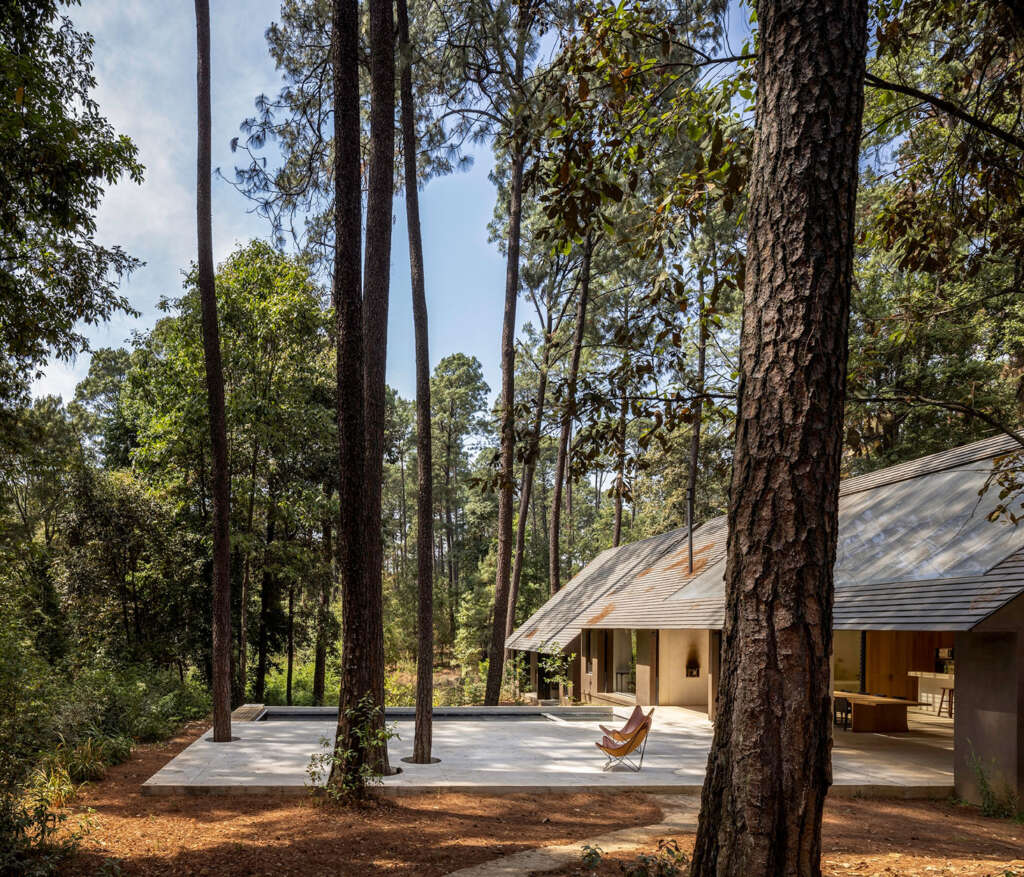 Escape to this getaway home by PPAA that's nestled amongst the pine trees
