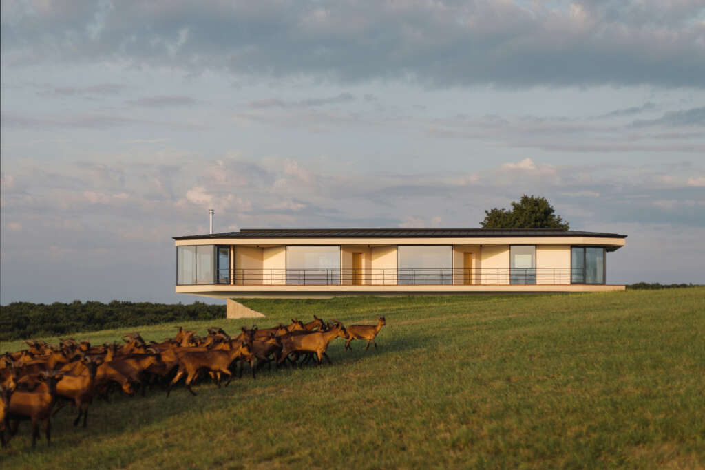 Hemp House is a manmade artifact that hovers above the Serbian landscape