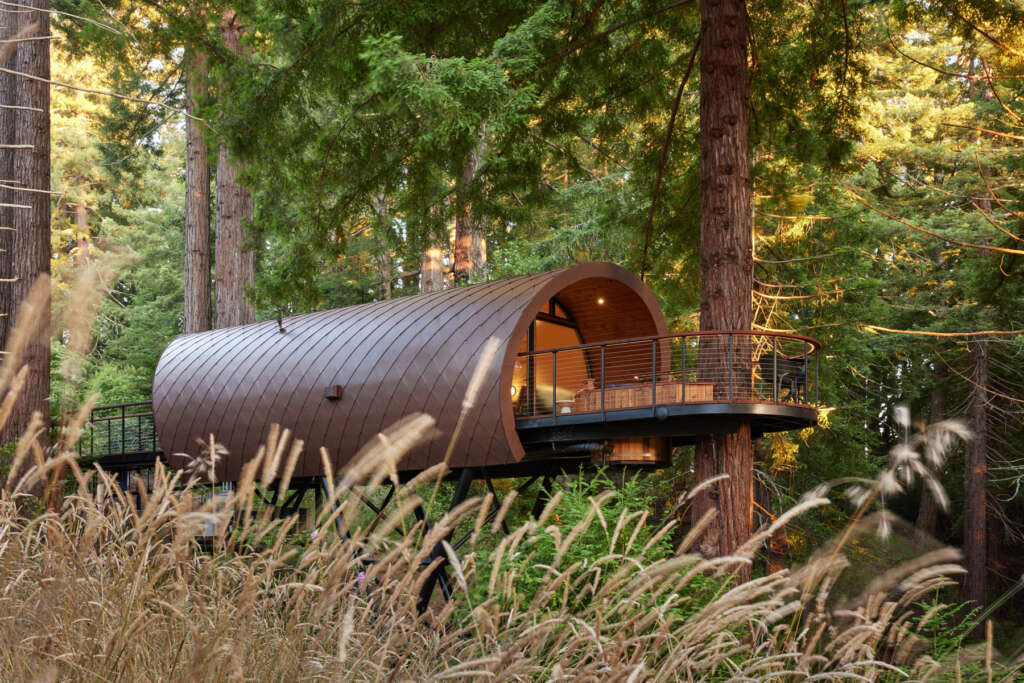 Artistree shares design for luxury treehouse nestled in the redwoods of Sonoma wine country