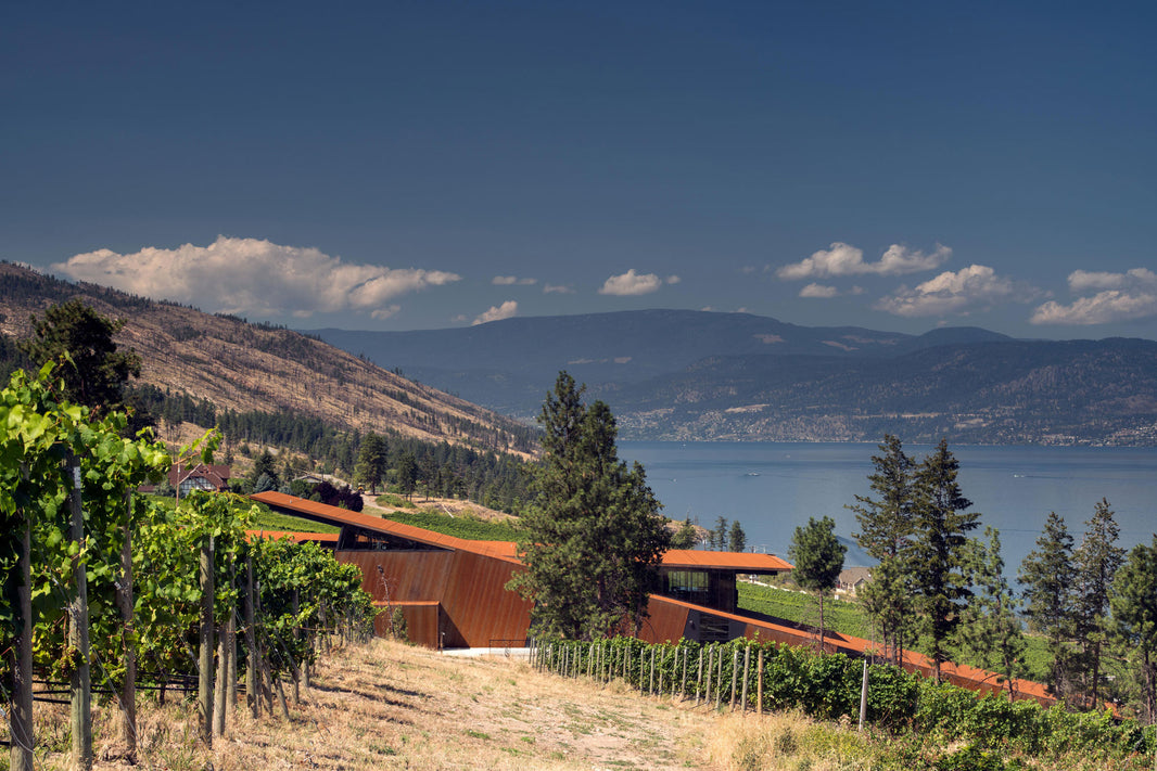 Olson Kundig Completes Martin's Lane Winery in Kelowna, BC