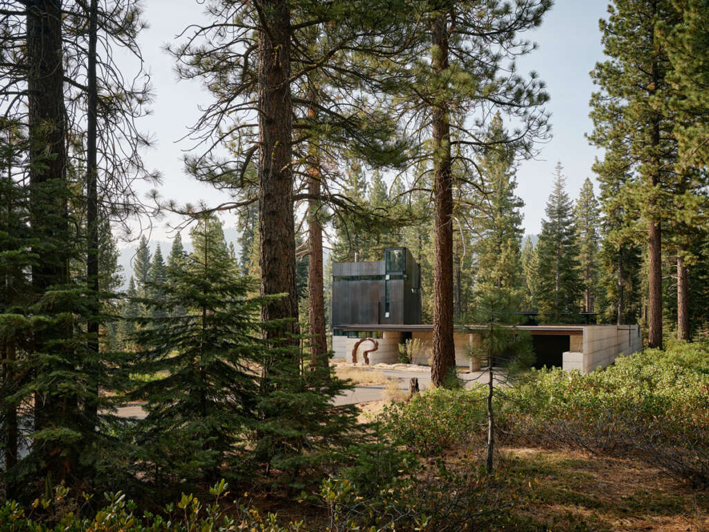 Olson Kundig complete rugged, meandering forest house in California