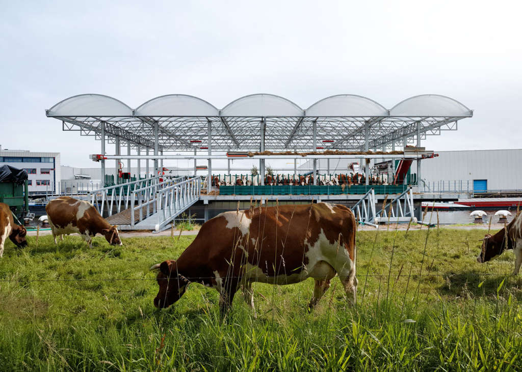 Floating Farm Dairy Brings Dairy Production to Rotterdam