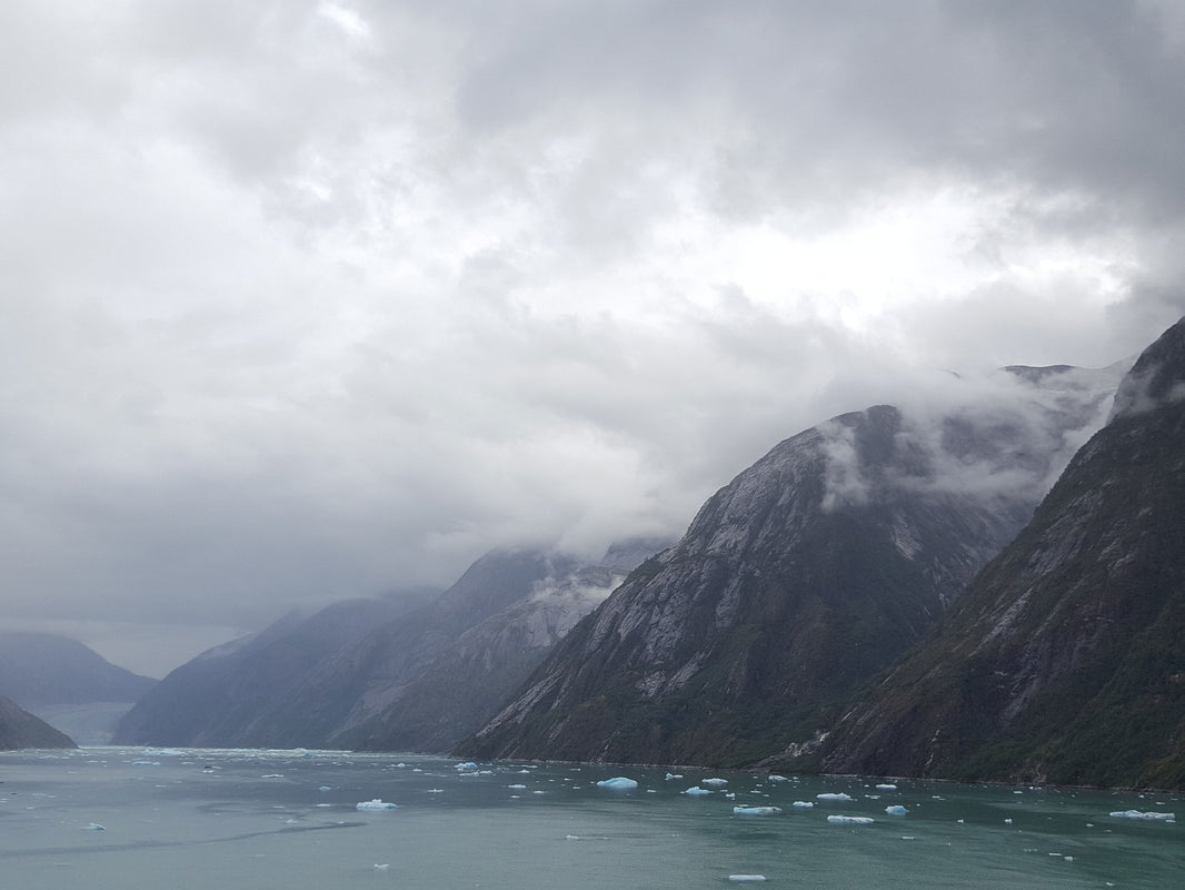From fjords to fishing towns: A cruise through southeast Alaska