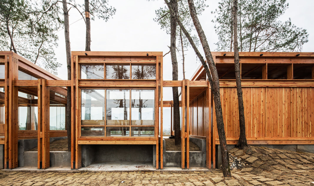 Step Inside this Pine Pavilion in Eastern China