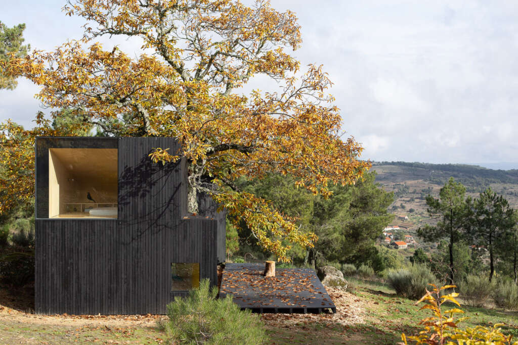 This house by João Mendes Ribeiro Arquitecto is built around a large chestnut tree