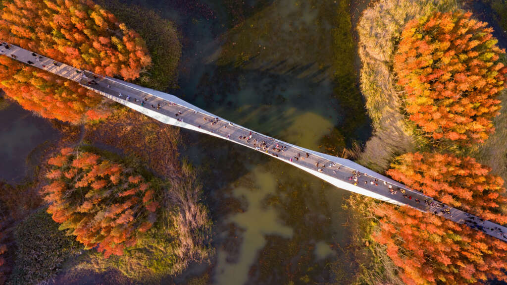 Turenscape transforms abused natural landscape into stunning floating forest in Nanchang City