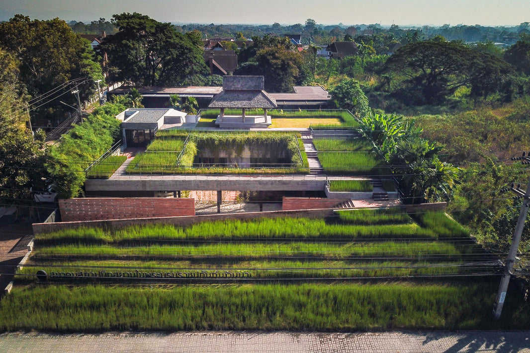 This Building In Chiang Mai Has Rice Fields On The Roof