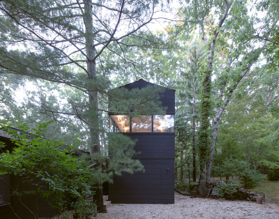 Worrell Yeung design Long Island artist studio that minimizes impact on the surrounding forest