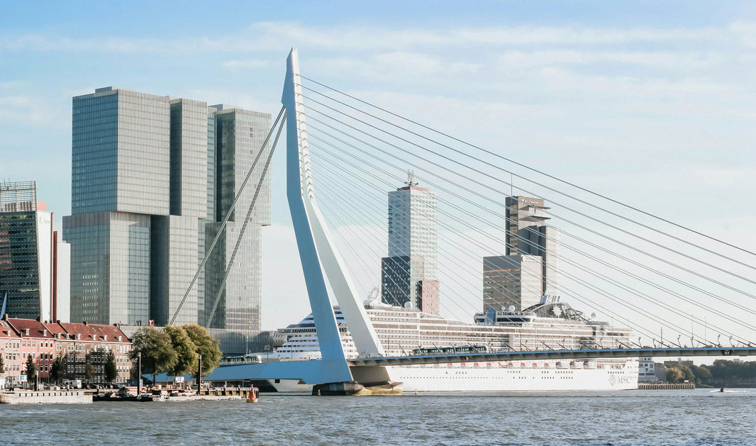 The MUST-SEE Architecture in Rotterdam