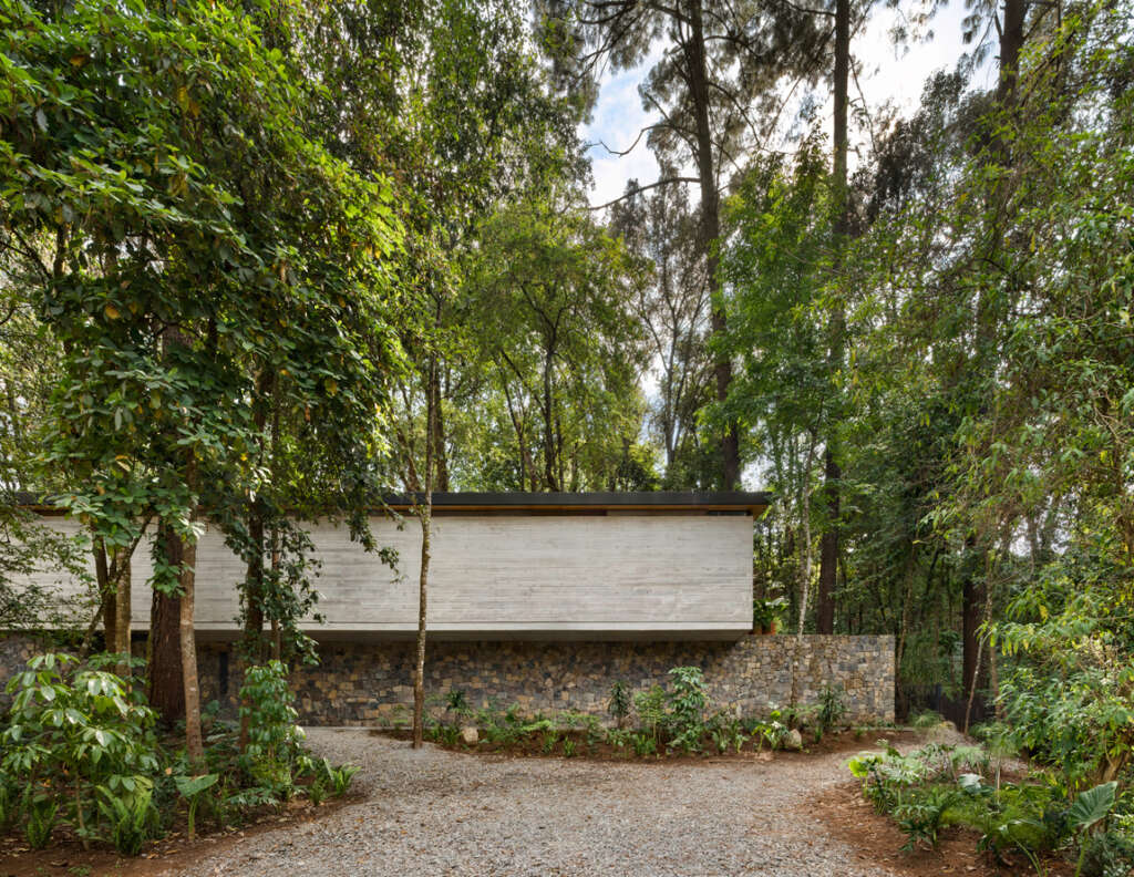 CF Taller de Arquitectura and Merodio Arquitectos design home that emerges from the forest