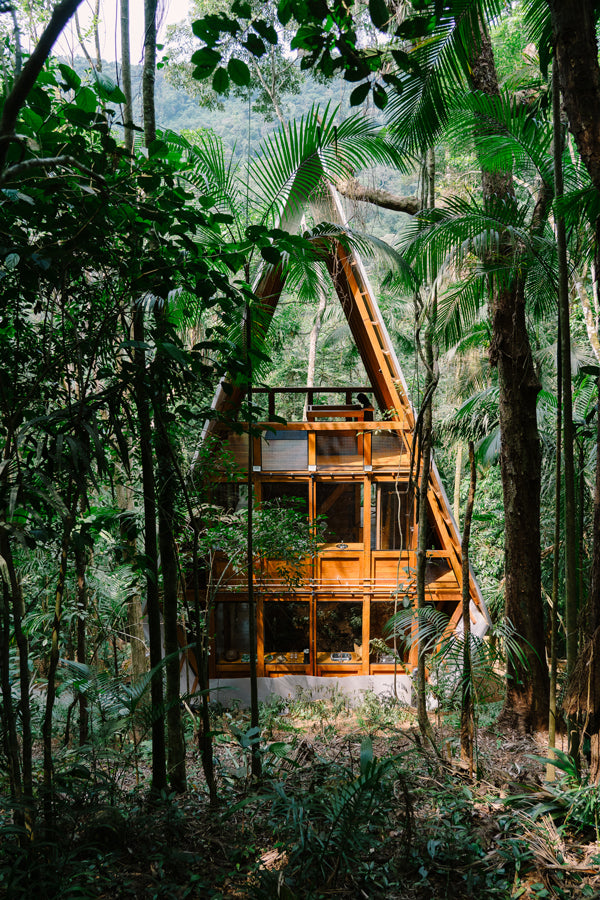 Marko Brajovic designs a Monkey House in the Brazilian forest