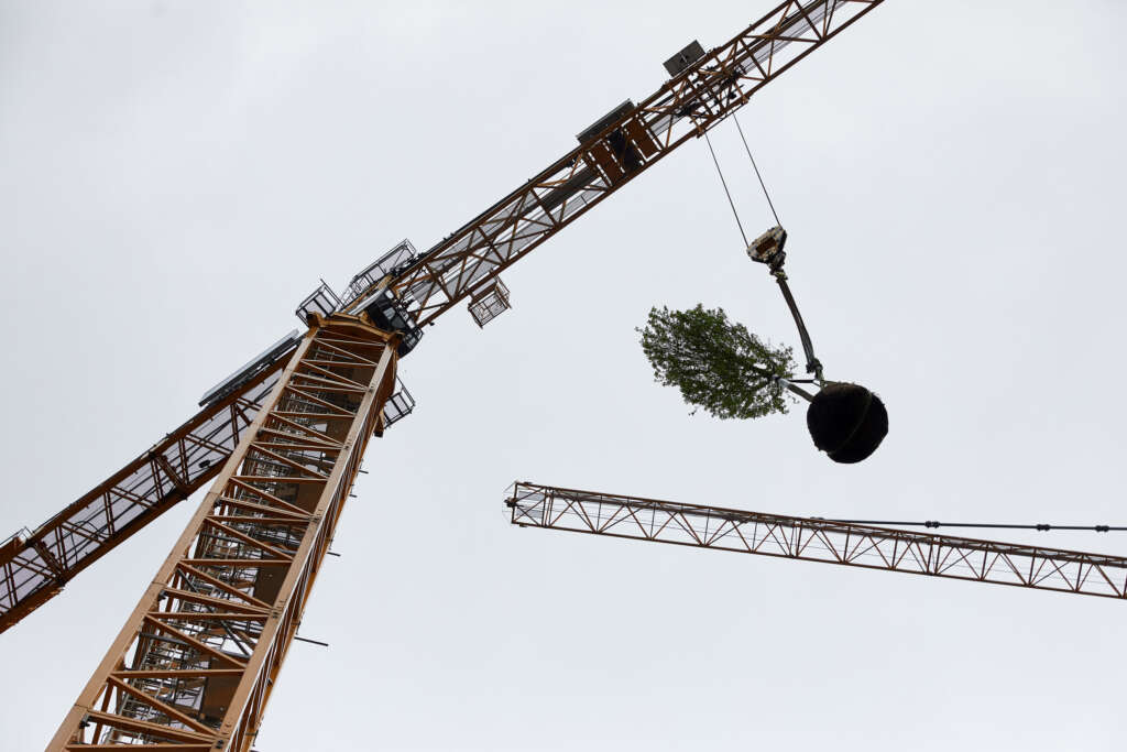 First trees take root in Stefano Boeri Architetti's dutch vertical forest in Utrecht