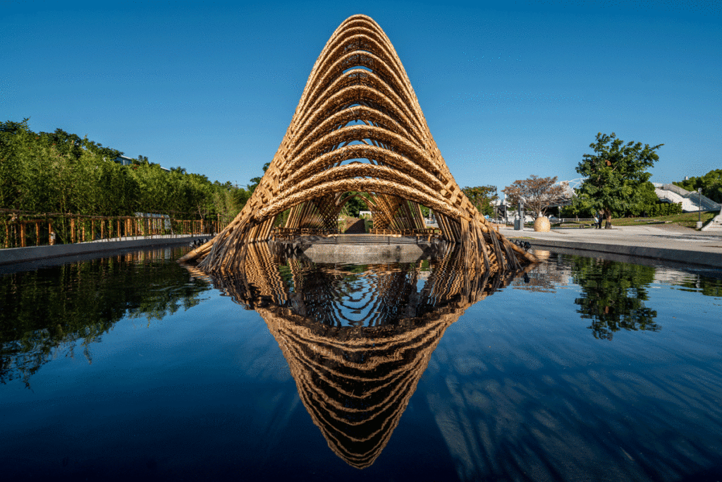 Step Inside this Stunning Bamboo Forrest