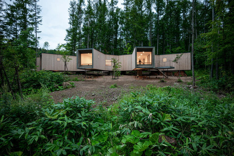This house in Japan branches out to maximize views of the forest
