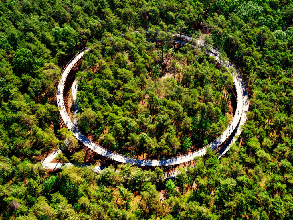 Hechtel-Eksel Cycle Path takes you above the trees