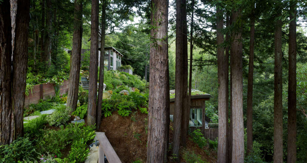 The Mill Valley Cabins offer seclusion and inspired living for retired artist and gardener