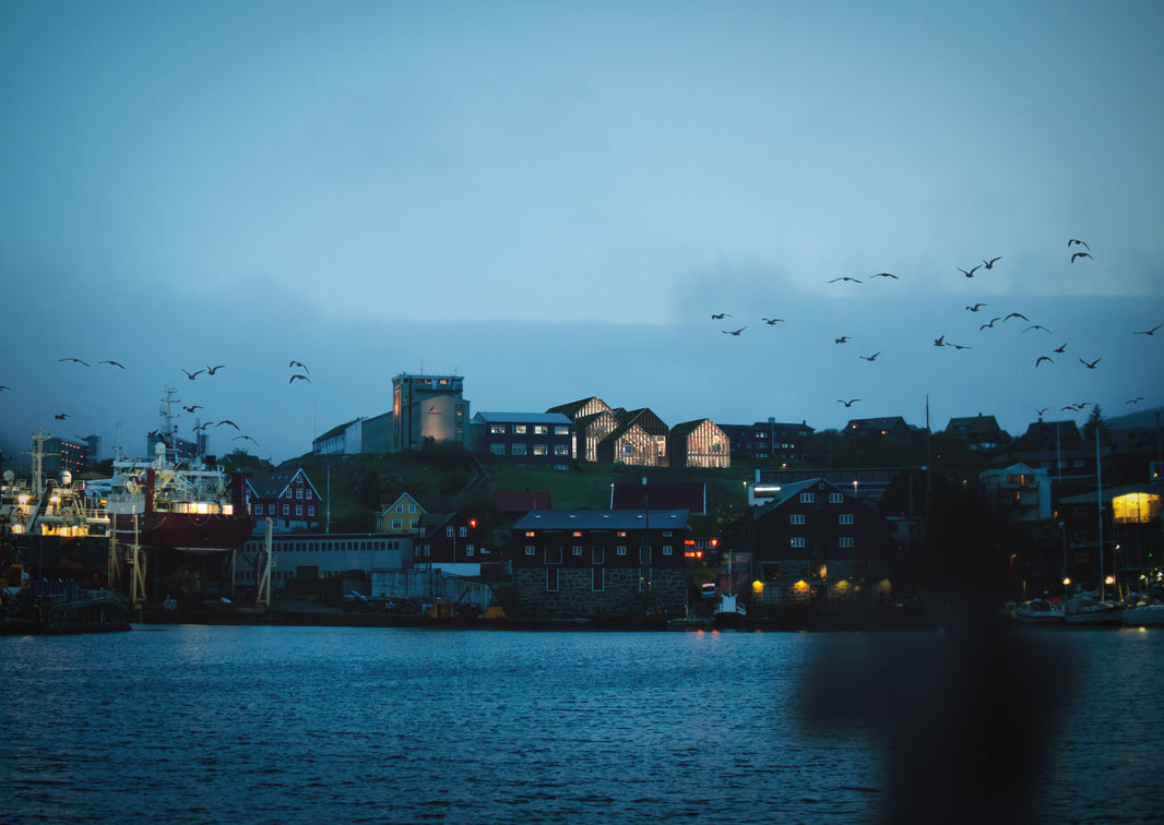 Mass timber and microclimate design excel in Henning Larsen’s winning proposal for a new university building in Torshavn, Faroe Islands