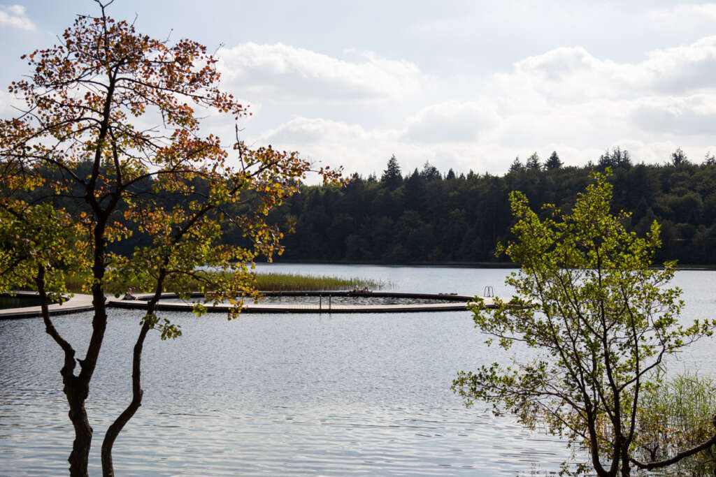 Sweco Architects design circular bathing facilities  designed to protect the the lake’s biodiversity