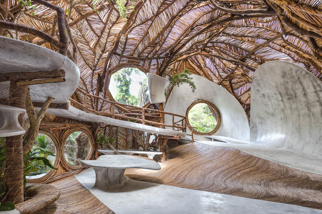 Step Inside This Stunning Gallery Inspired by Nature