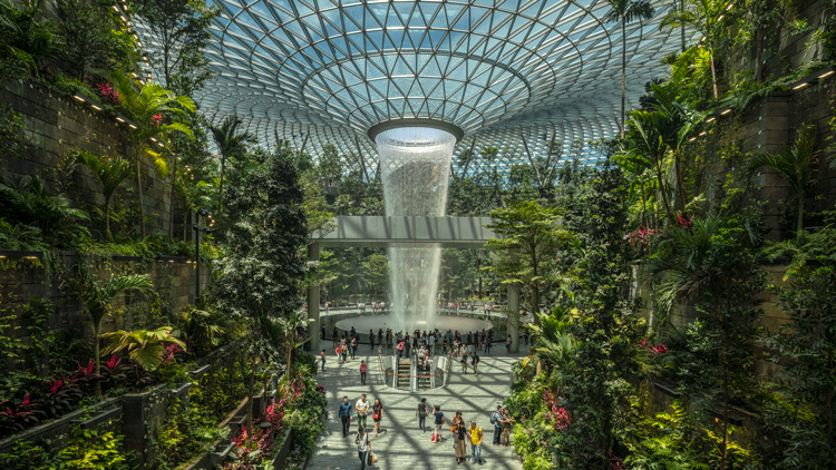 A Forest and Waterfall Create New Visitor Experience for Jewel Changi Airport