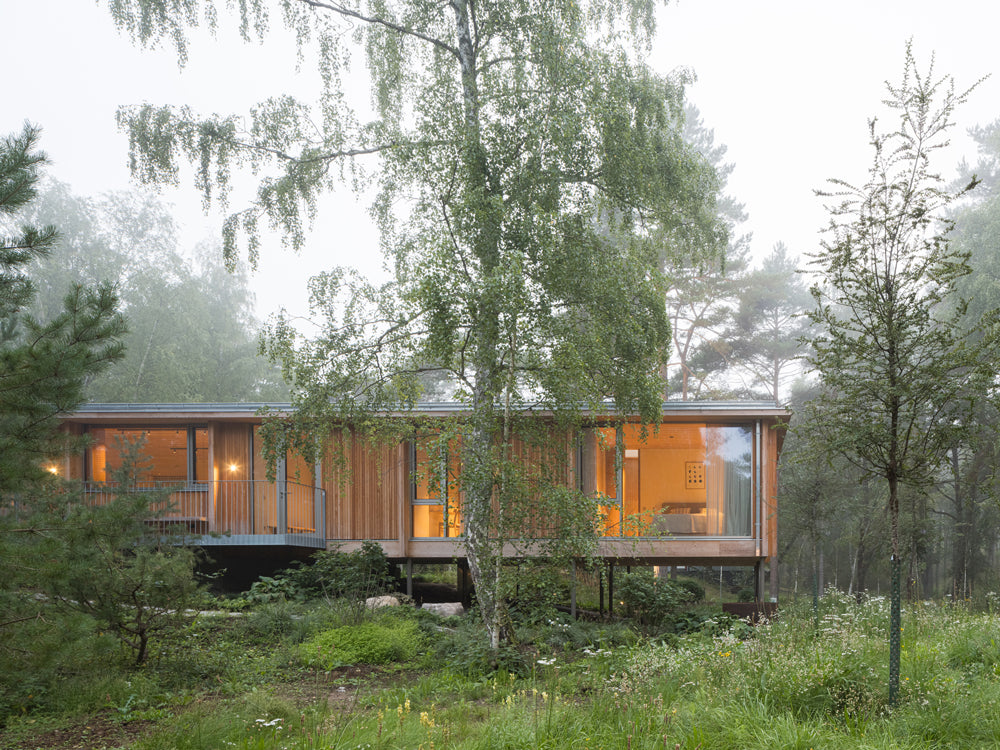 Escape to this pine-covered retreat off the southeast coast of Sweden