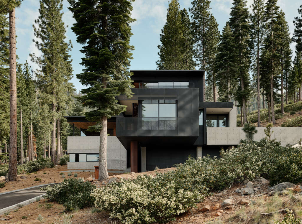 Faulkner Architects design minimalist concrete house set on the forested shoulder of an extinct volcano