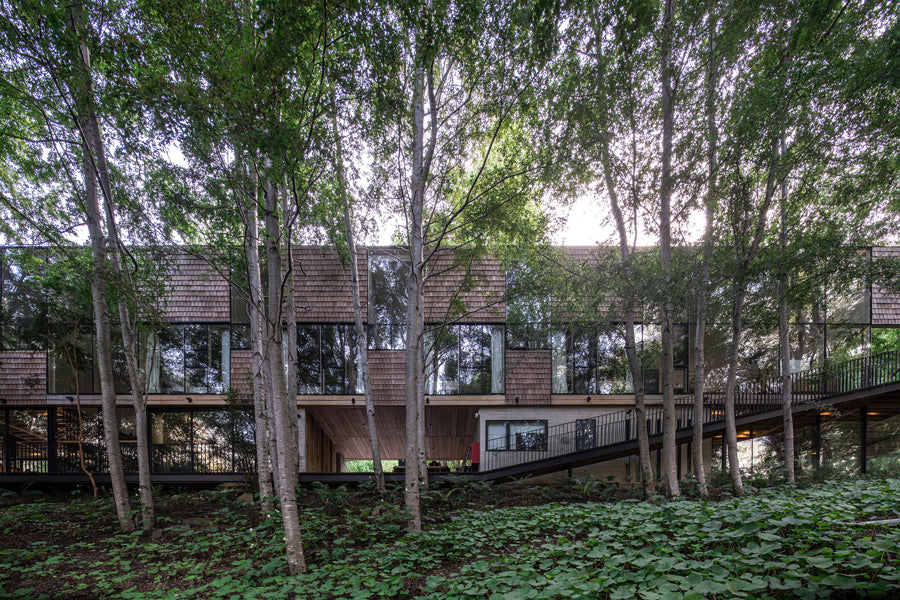 Escape to this Chilean house inspired by a fallen log in the forest