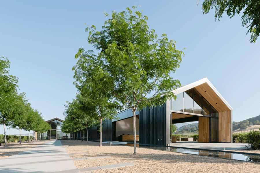 Net-Zero Winery Opens in Northern California