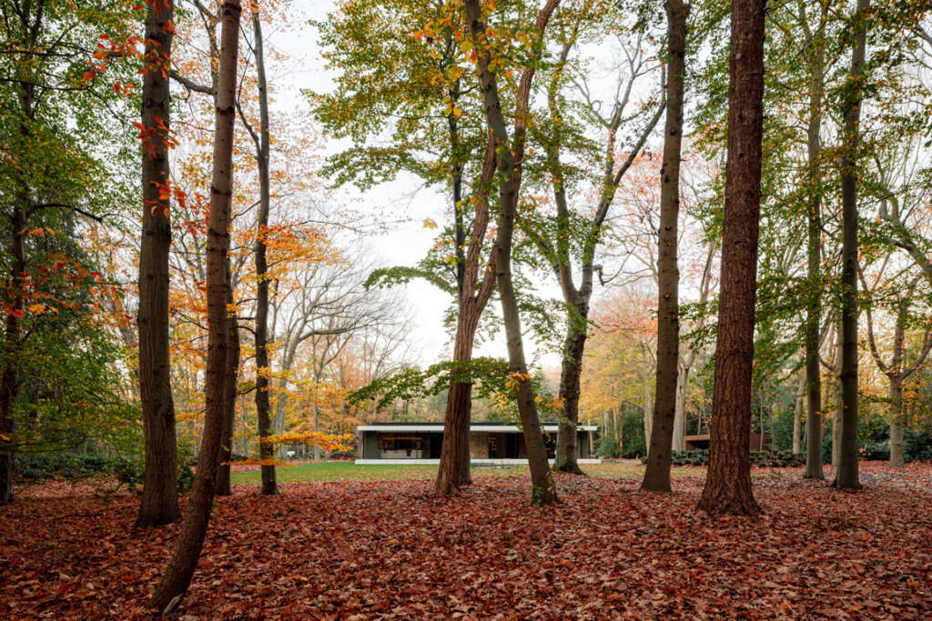 Embrace nature in this long and lovely woodland retreat by Powerhouse Company
