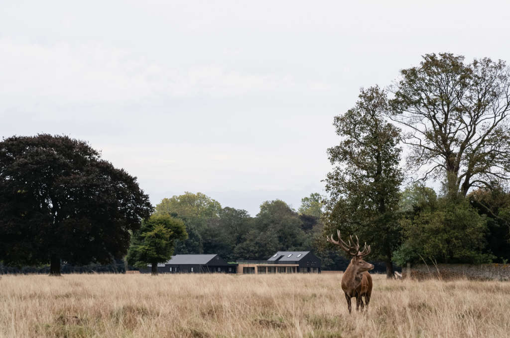 Reed Watts Architects complete Teddington Cricket Club  in Bushy Park