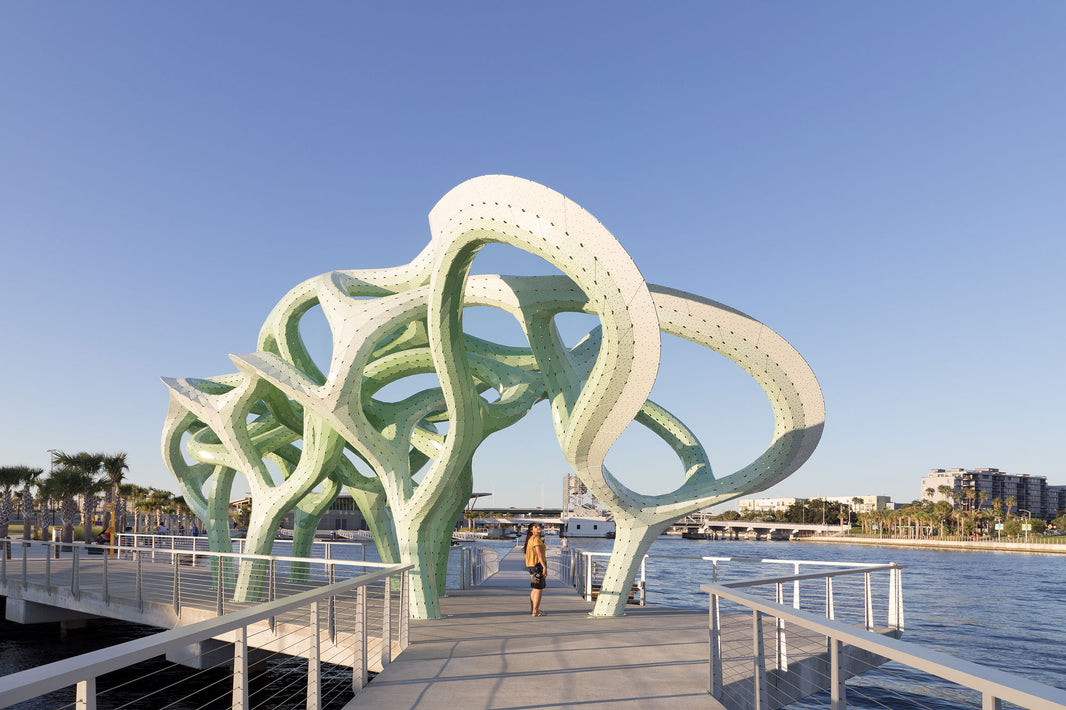 Form of Wander Plants a Tangled Structural Network on a Pier