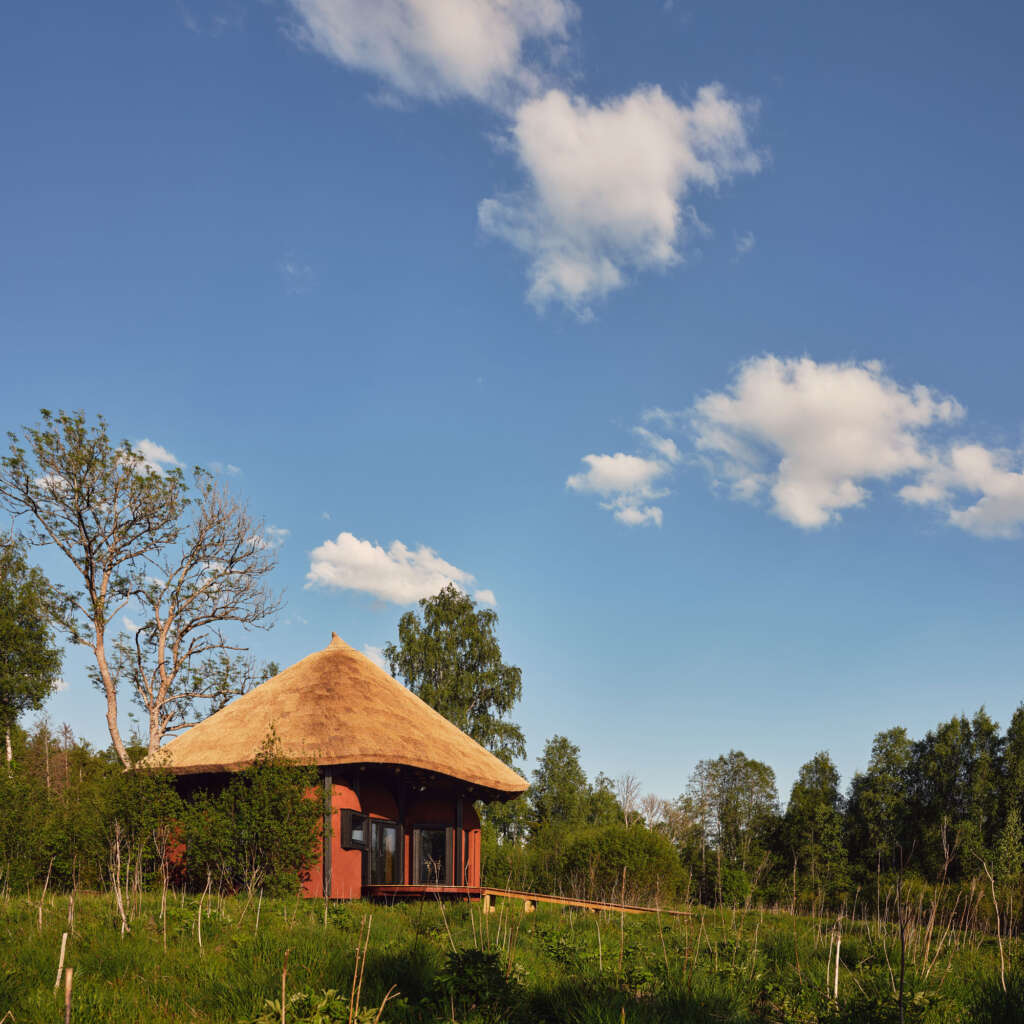 KTA Architects design cottage inspired by local plants at the end of a wetland
