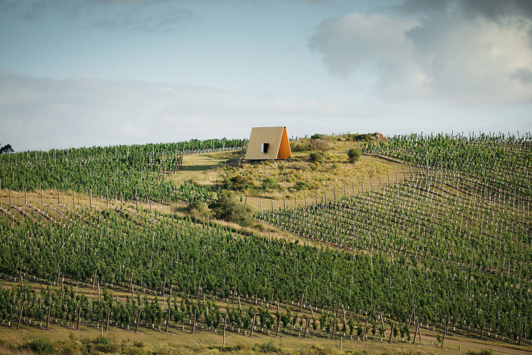 The Sacromonte Chapel Finds its Place Among the Vineyards, Lagoons