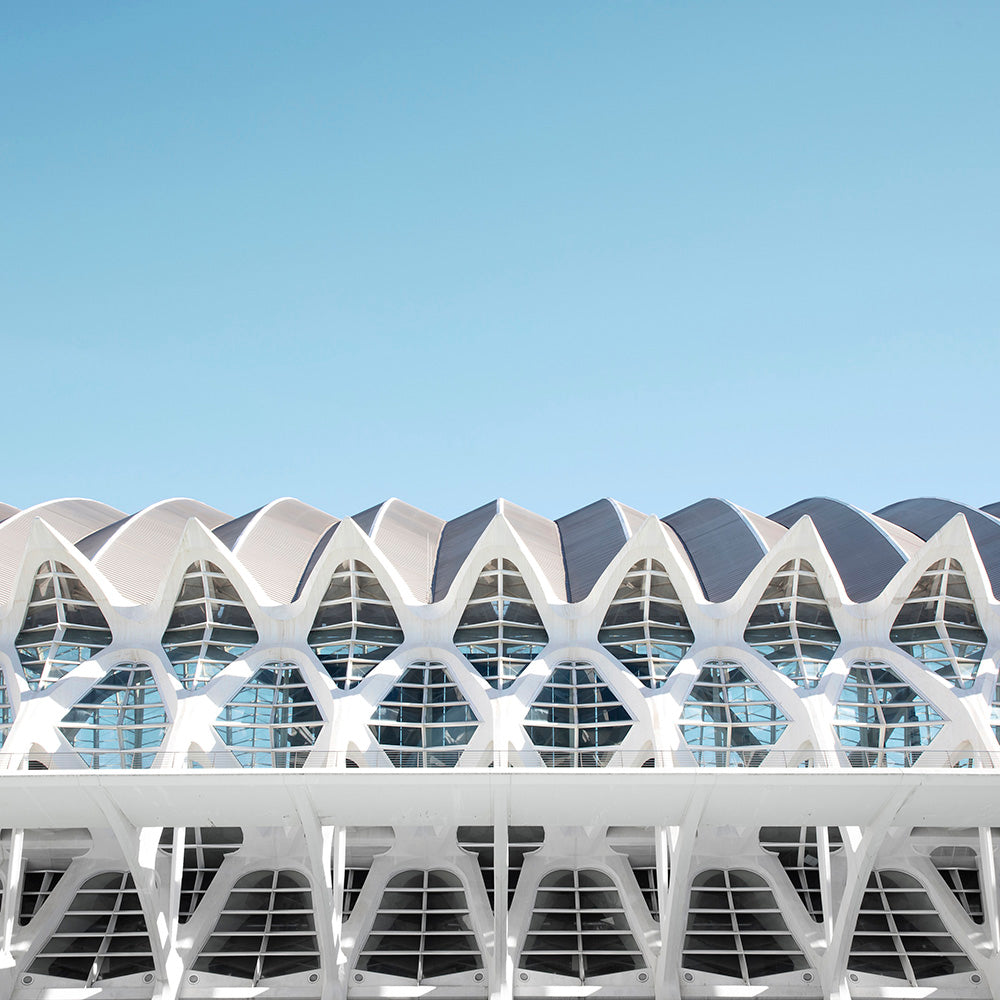 See Santiago Calatrava's City of Arts and Sciences in this Beautiful New Photo Series
