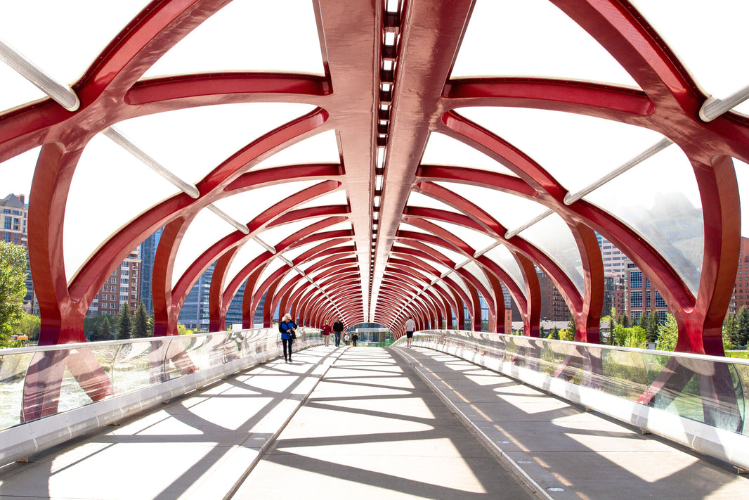 Must-see Architecture in Calgary