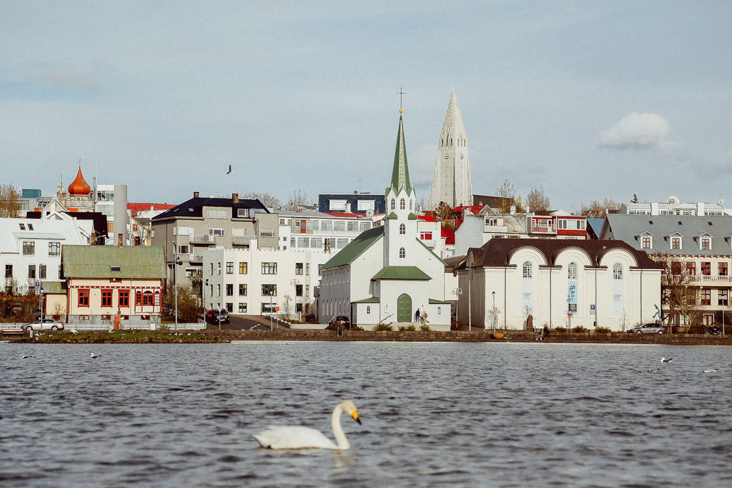 The MUST-SEE Architecture in Reykjavik