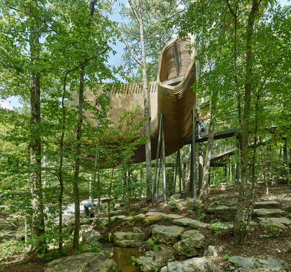 Children's Tree House Rises in Arkansas