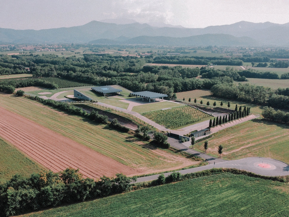 Explore the semi-landscaped Monte Rossa Wine Production Facility outside Bologna, Italy