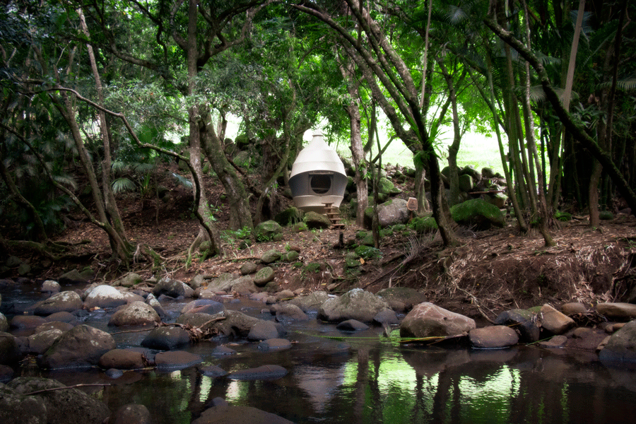 Sleep Amongst the Ferns of Mauritius in these Seedpods