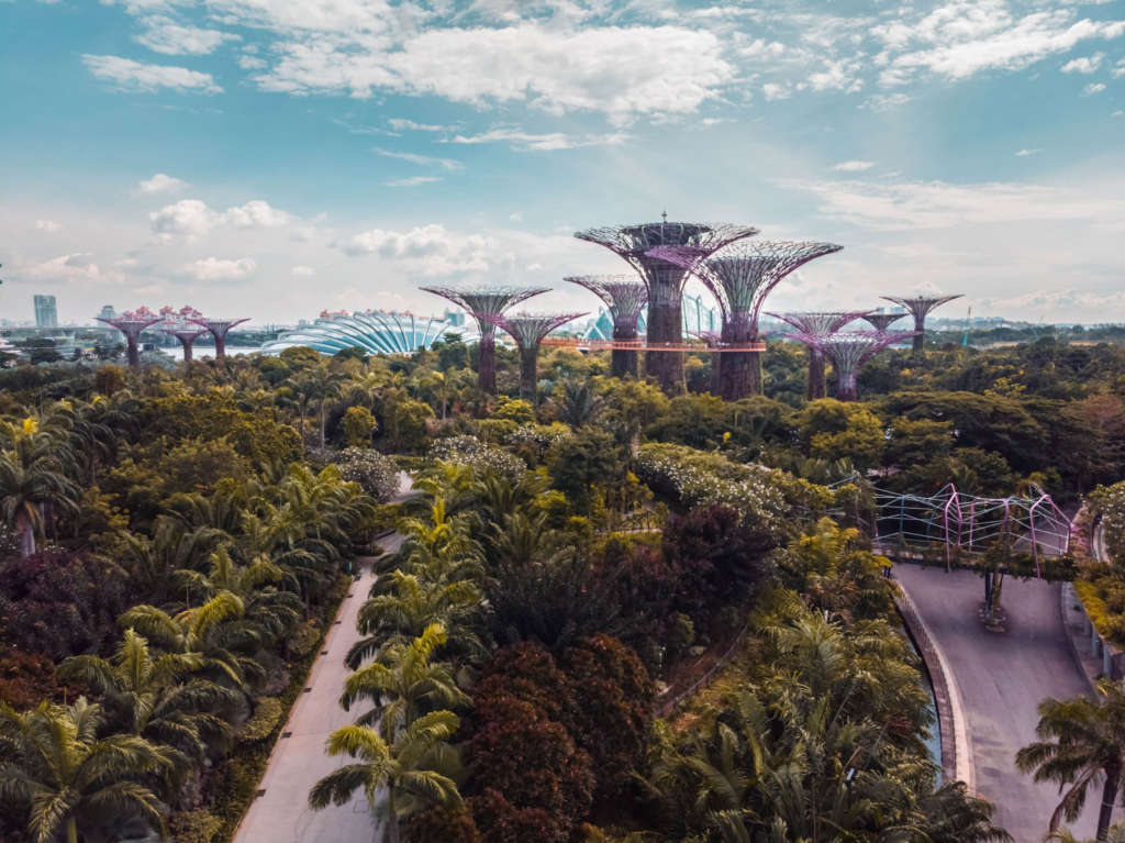 The MUST-SEE Architecture in Singapore