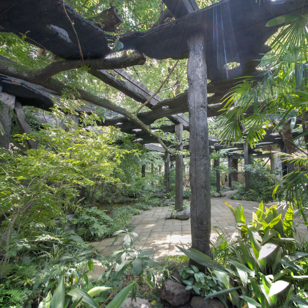 Junya Ishigami + Associates design a charred cedar sunshade in Tokyo ...